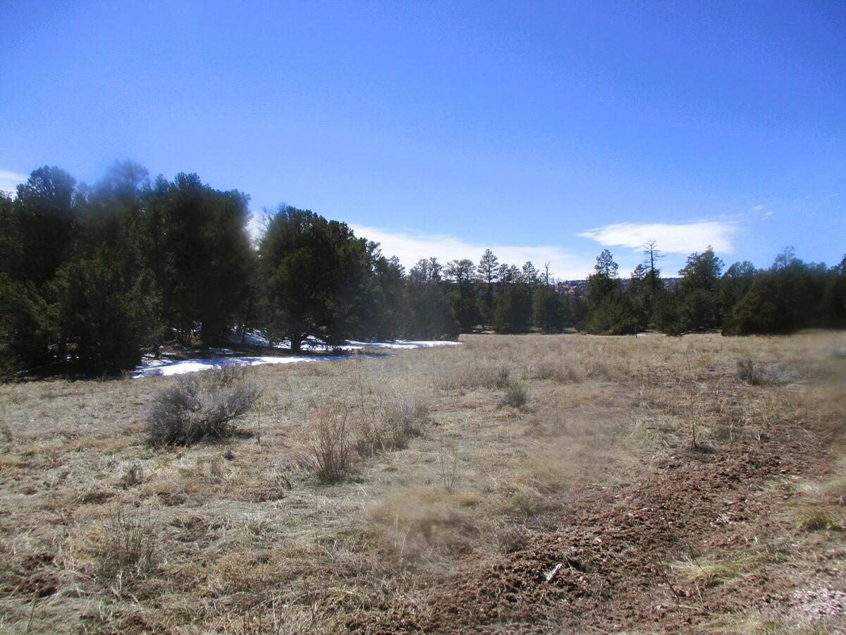 Lot 5 Copperweed Road Ramah, NM 87321 - Photo 58 of 88 Gallery Image 58