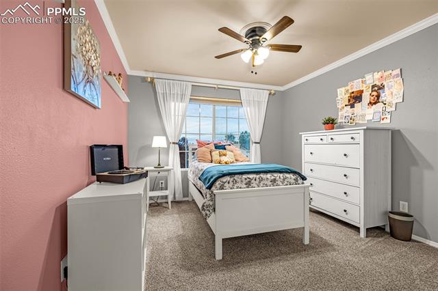 445 Talus Road Monument, CO 80132 - Photo 20 of 50