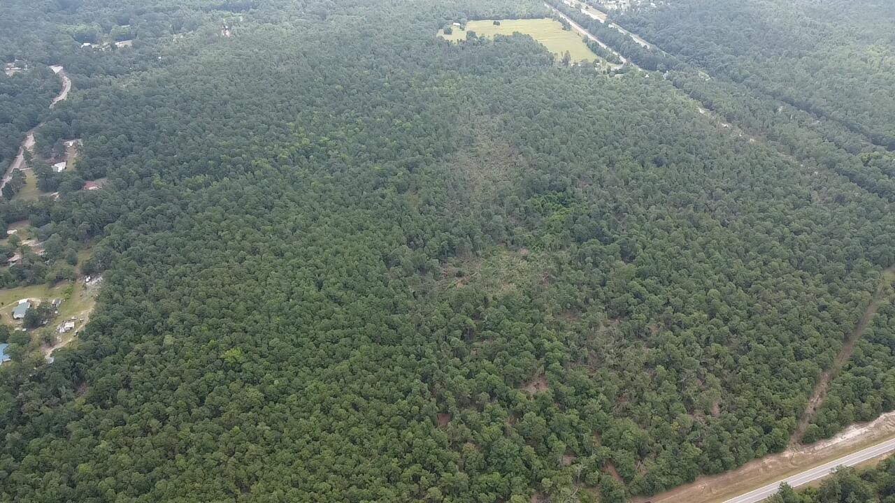 0 Old Louisville Road Harlem, GA 30814 - Photo 4 of 5 1000014146
