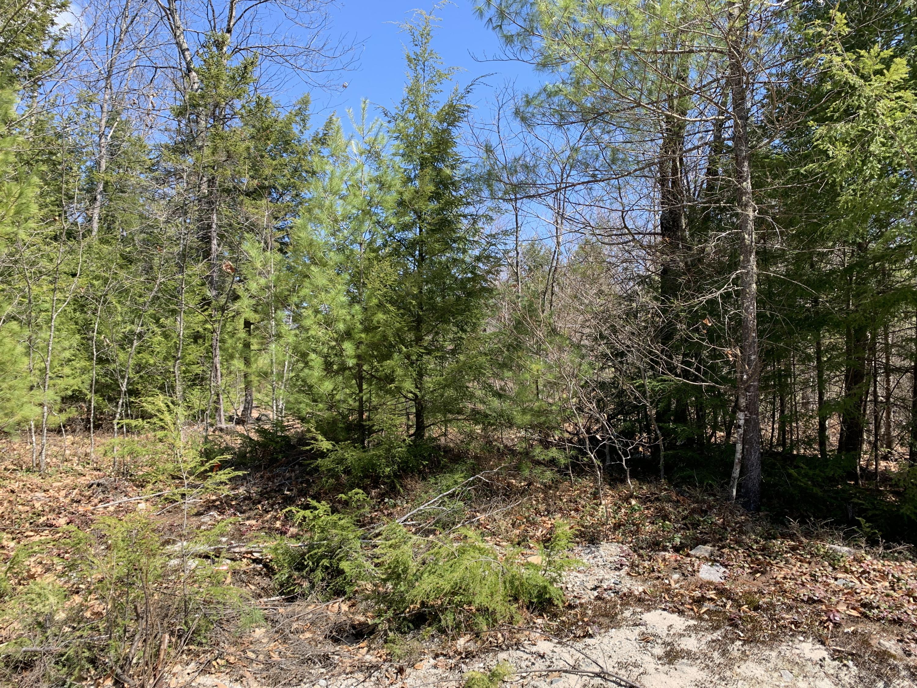 Lot 97 Frost Farm Road Bridgton, ME 04009 - Photo 2 of 6 1B5122CB-90E0-4B00-ACC0-10E315299066