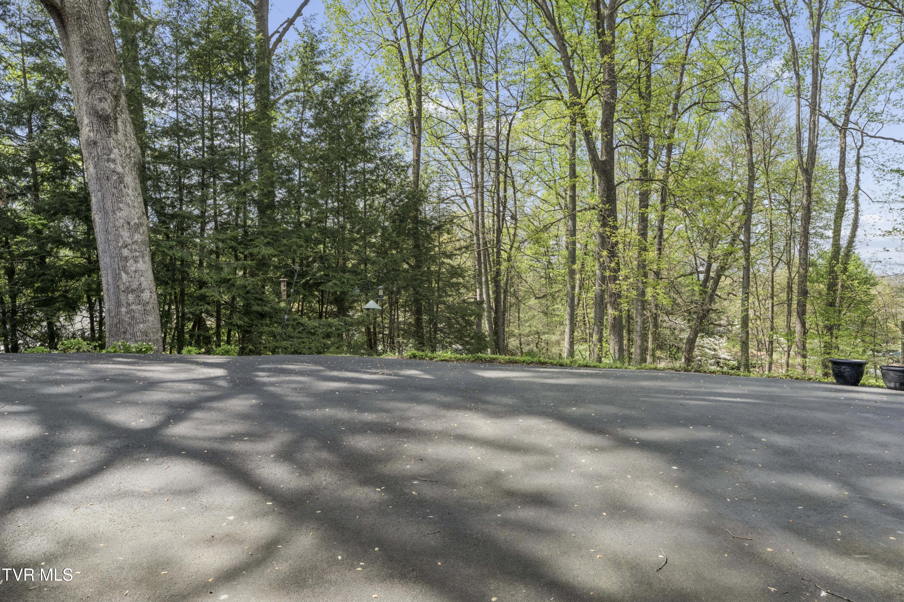 303 Hillside Road Johnson City, TN 37601 - Photo 50 of 70 Hillside--46