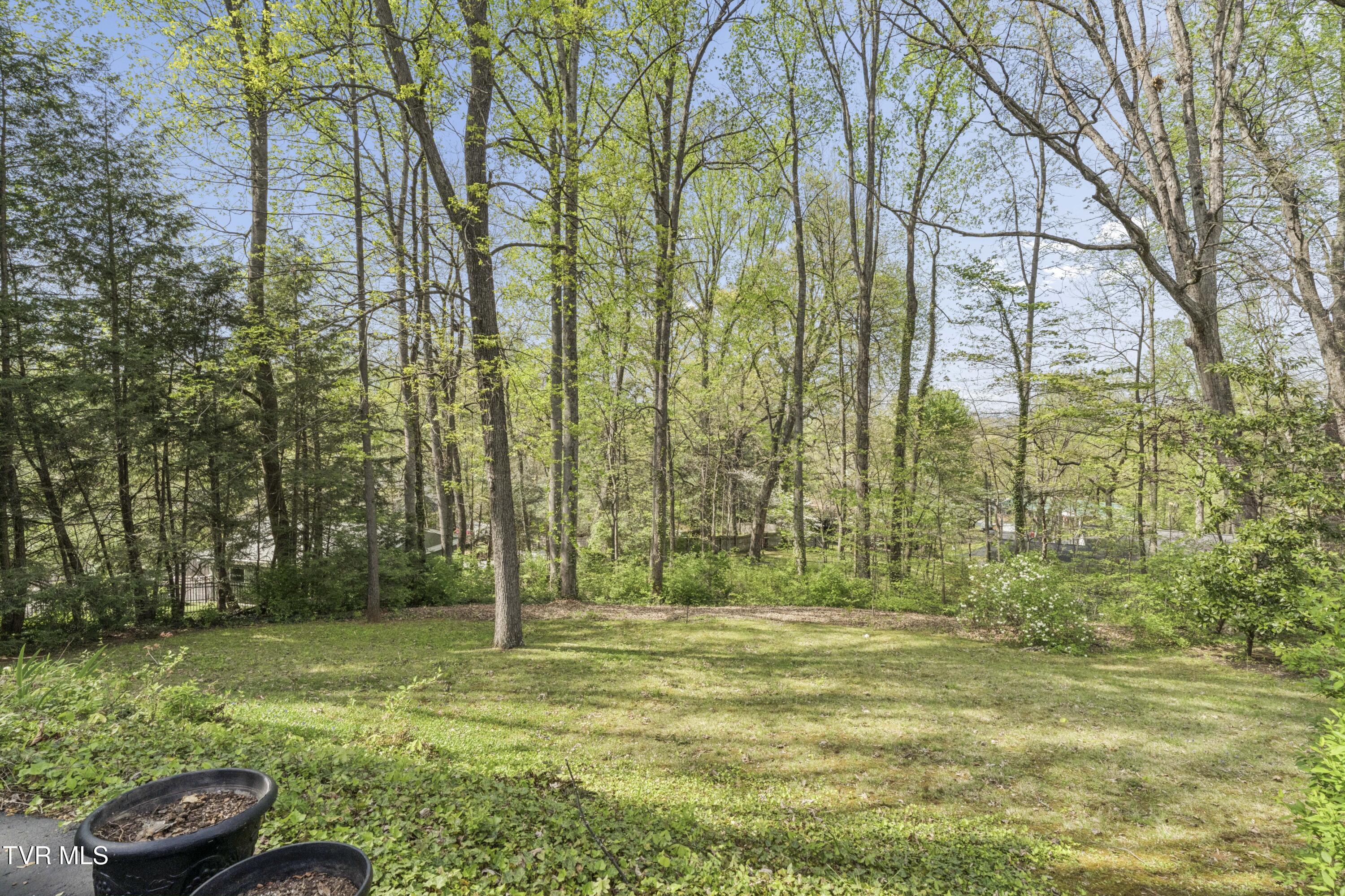 303 Hillside Road Johnson City, TN 37601 - Photo 51 of 70 Hillside--47