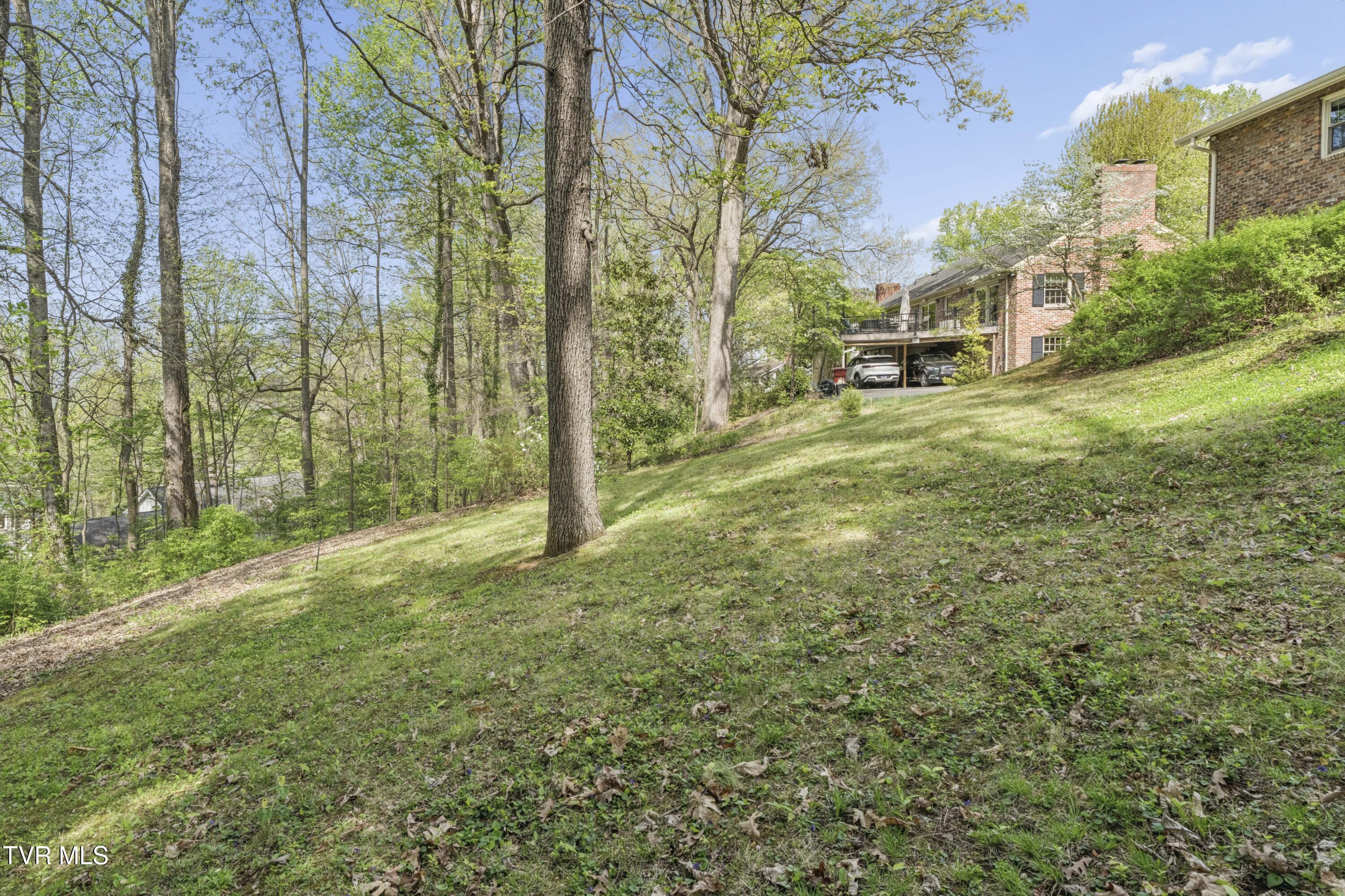 303 Hillside Road Johnson City, TN 37601 - Photo 56 of 70 Hillside--50