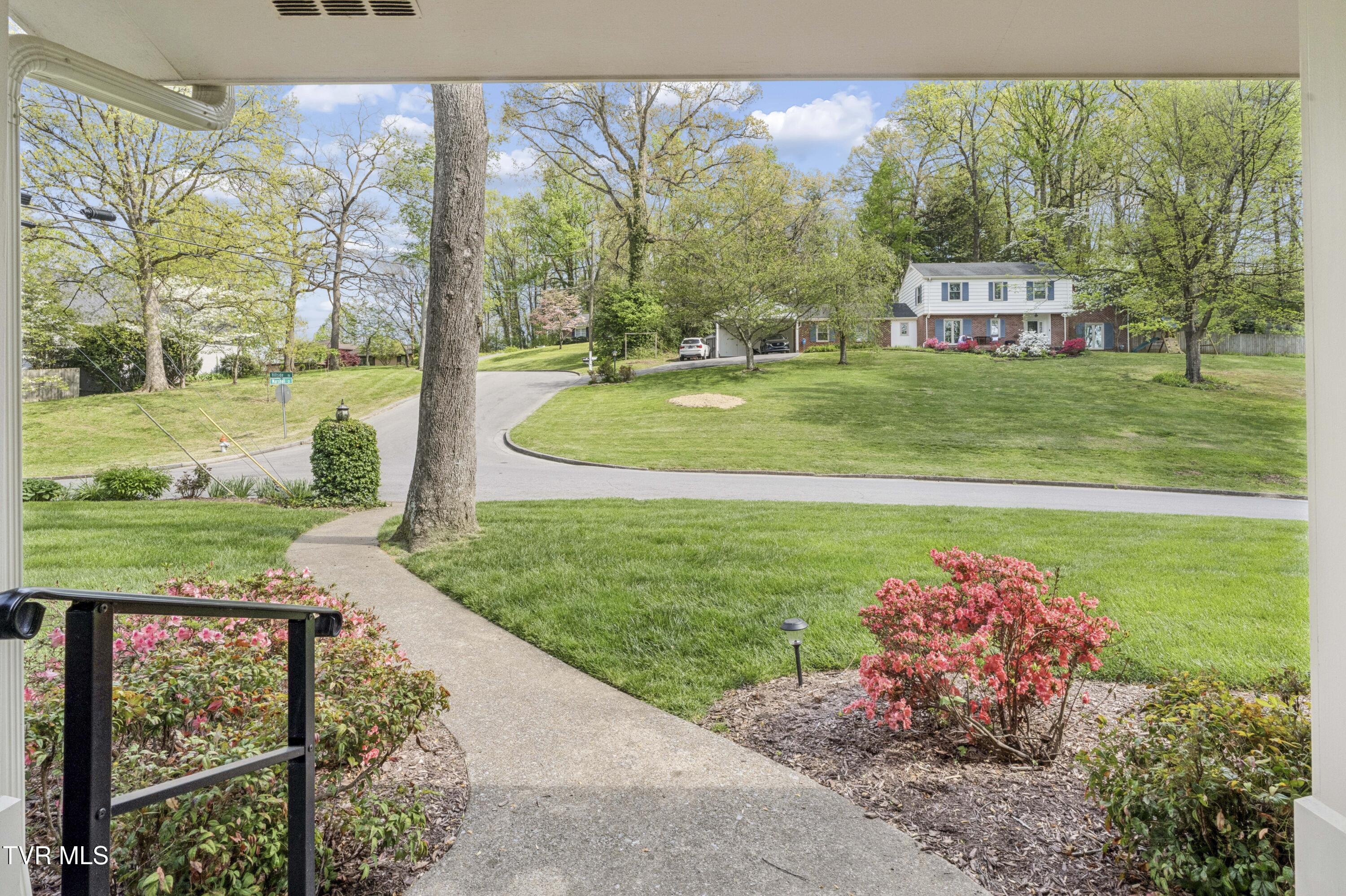 303 Hillside Road Johnson City, TN 37601 - Photo 61 of 70 Hillside--56
