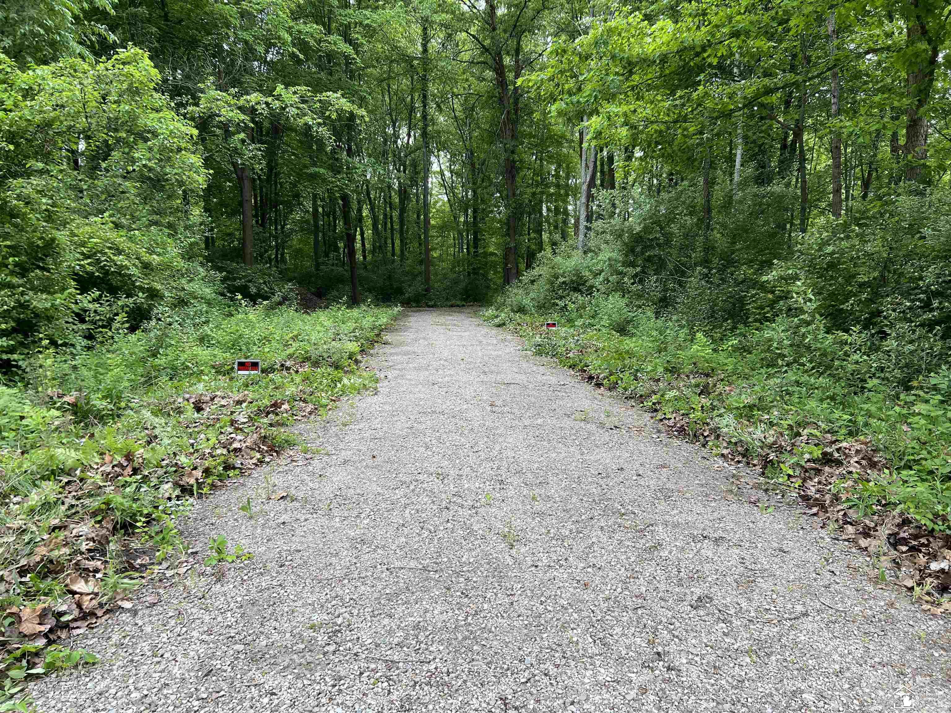 3886 Douglas Road Petersburg, MI 49270 - Photo 4 of 12
