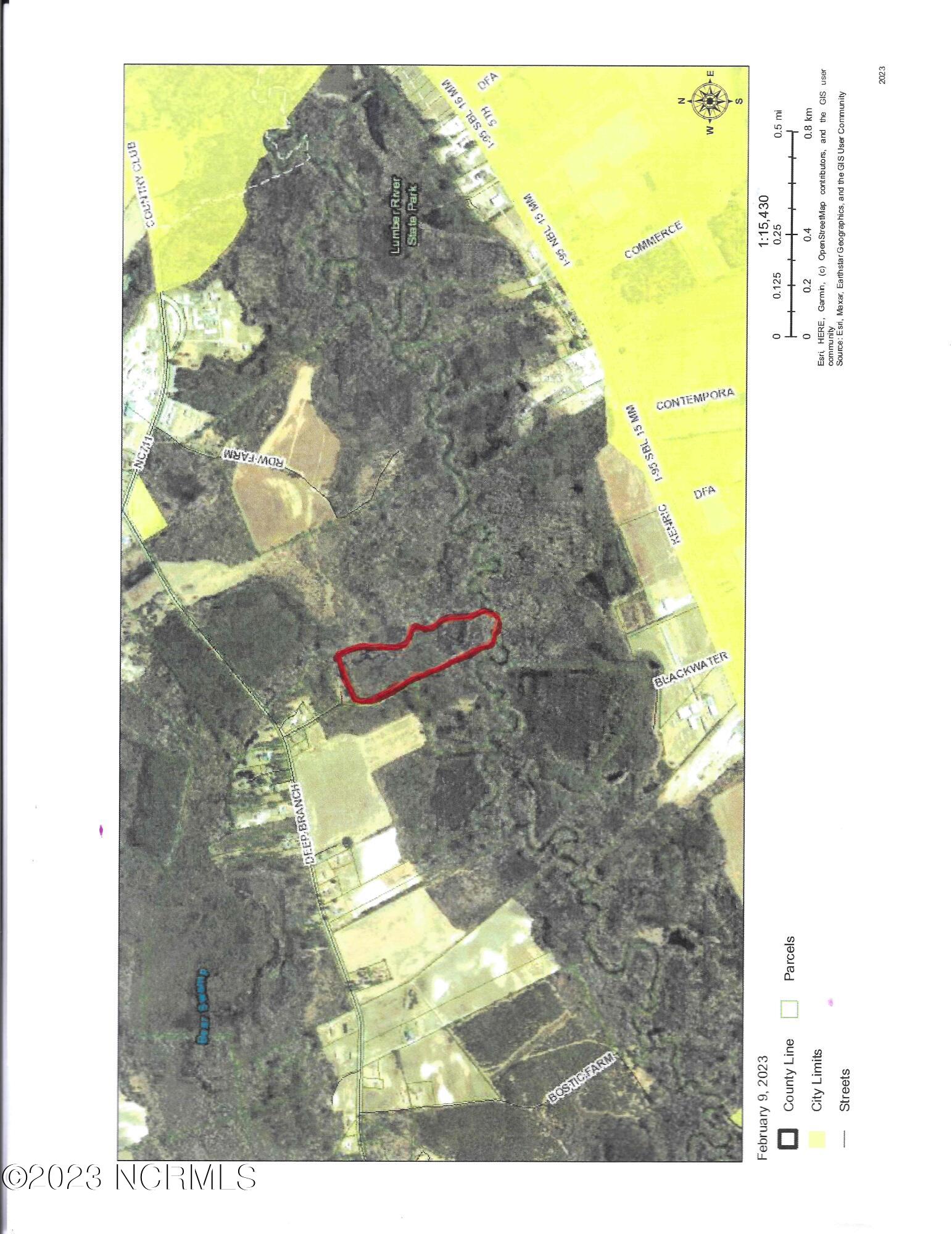 3 Deep Branch Road Lumberton, NC 28360 - Photo 1 of 1 lot 3