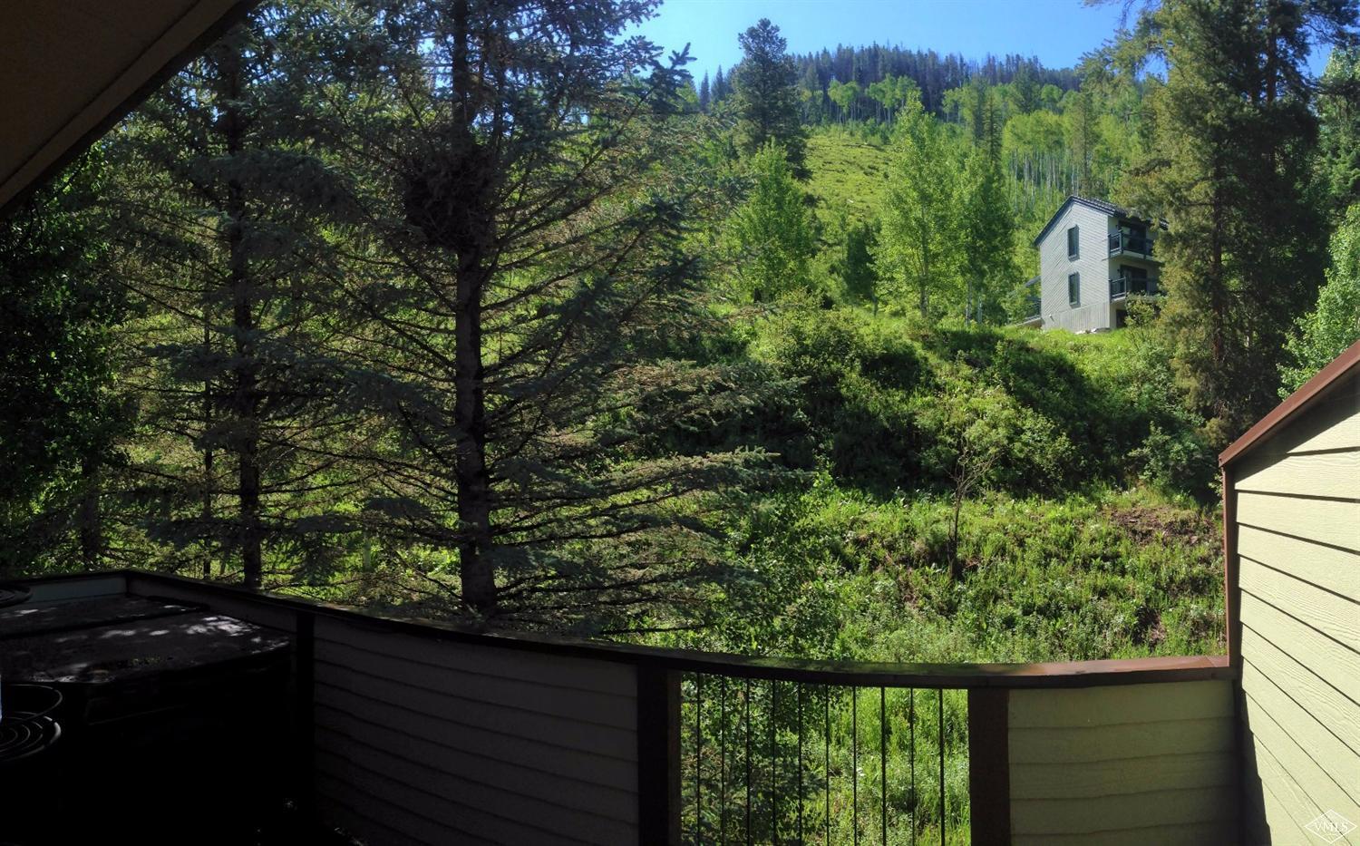 2550 Kinnickinnick Road, Unit J1 Vail, CO 81657 - Photo 3 of 17 Additional Photo