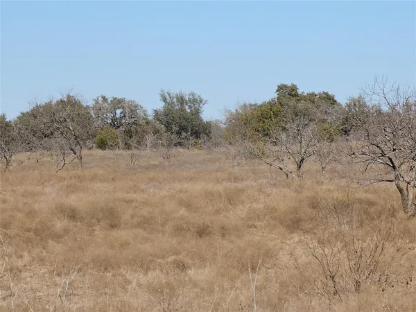 a view of entrance gate of the house and cars parked
