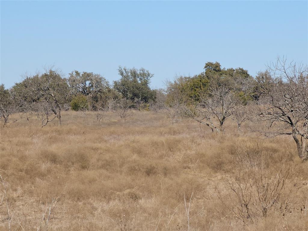 0 Pecan Valley Drive Gustine, TX 76452 - Photo 14 of 19 a view of a dry field