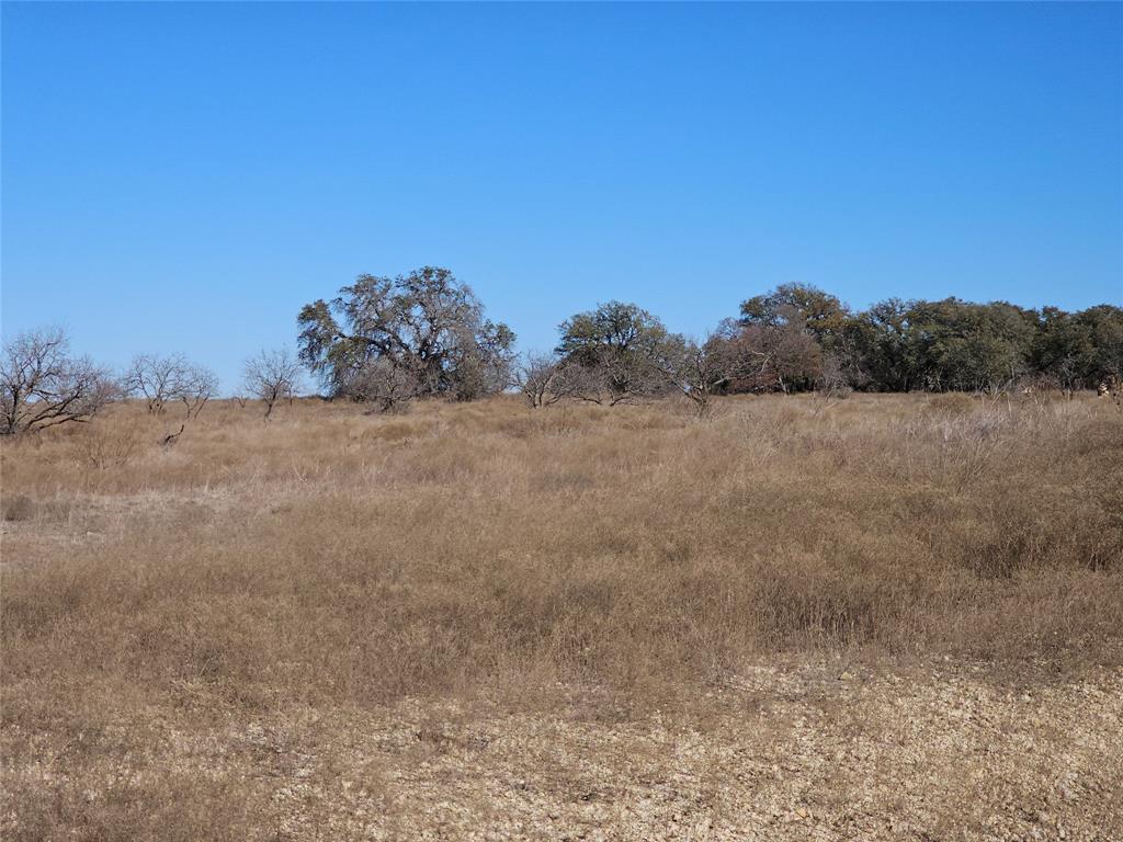 0 Pecan Valley Drive Gustine, TX 76452 - Photo 17 of 19 a view of a dry field with trees in the background