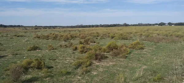 a view of a lake with mountain in the back