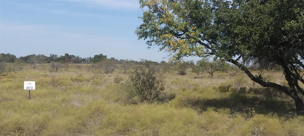 0 Pecan Valley Drive Gustine, TX 76452 - Photo 6 of 19 a view of a forest with a tree in the background