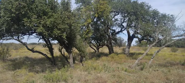 a view of ocean view with beach