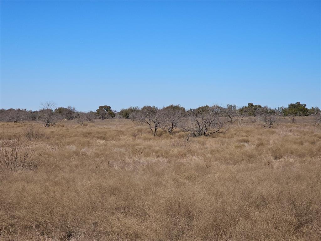 0 Pecan Valley Drive Gustine, TX 76452 - Photo 10 of 19 a view of mountain view with trees
