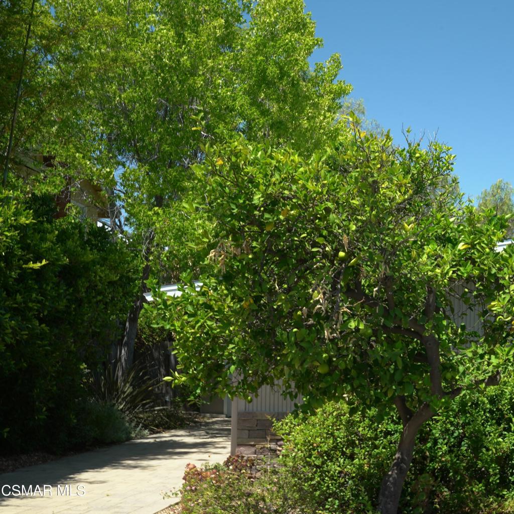 181 Beech Road Newbury Park, CA 91320 - Photo 2 of 21
