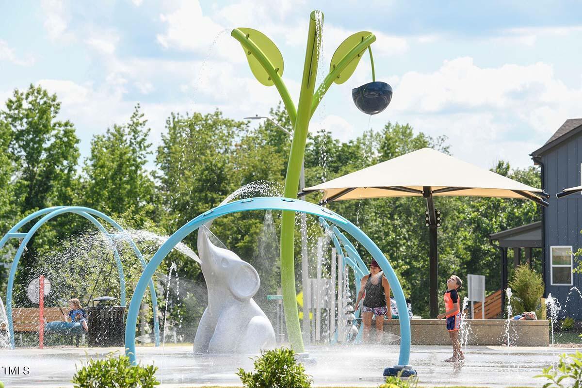 52 Rosedale Way Pittsboro, NC 27312 - Photo 36 of 37 Splash Pad