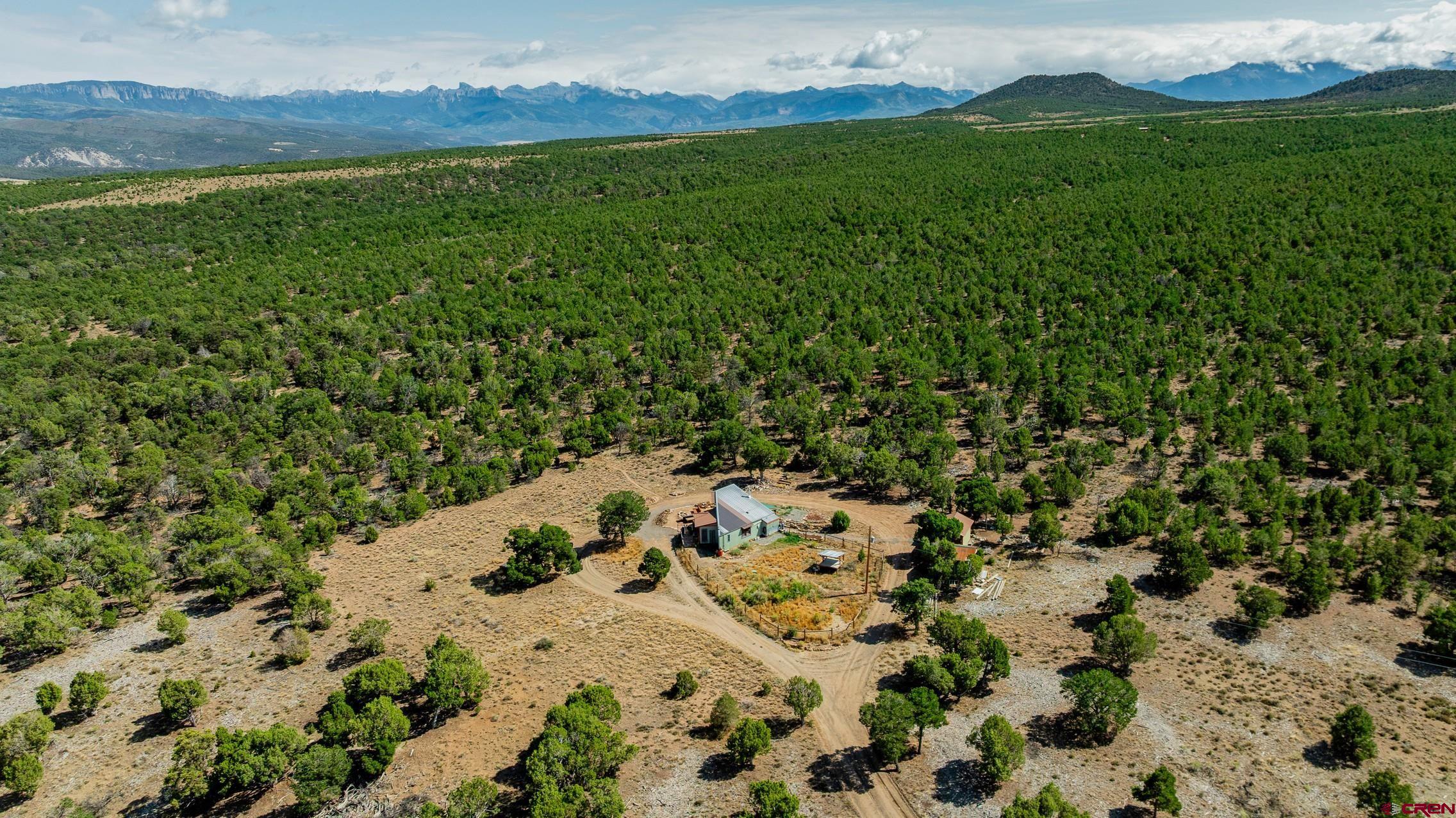 668 Pinyon Ridge Road Montrose, CO 81403 - Photo 24 of 38 Gallery Image 24
