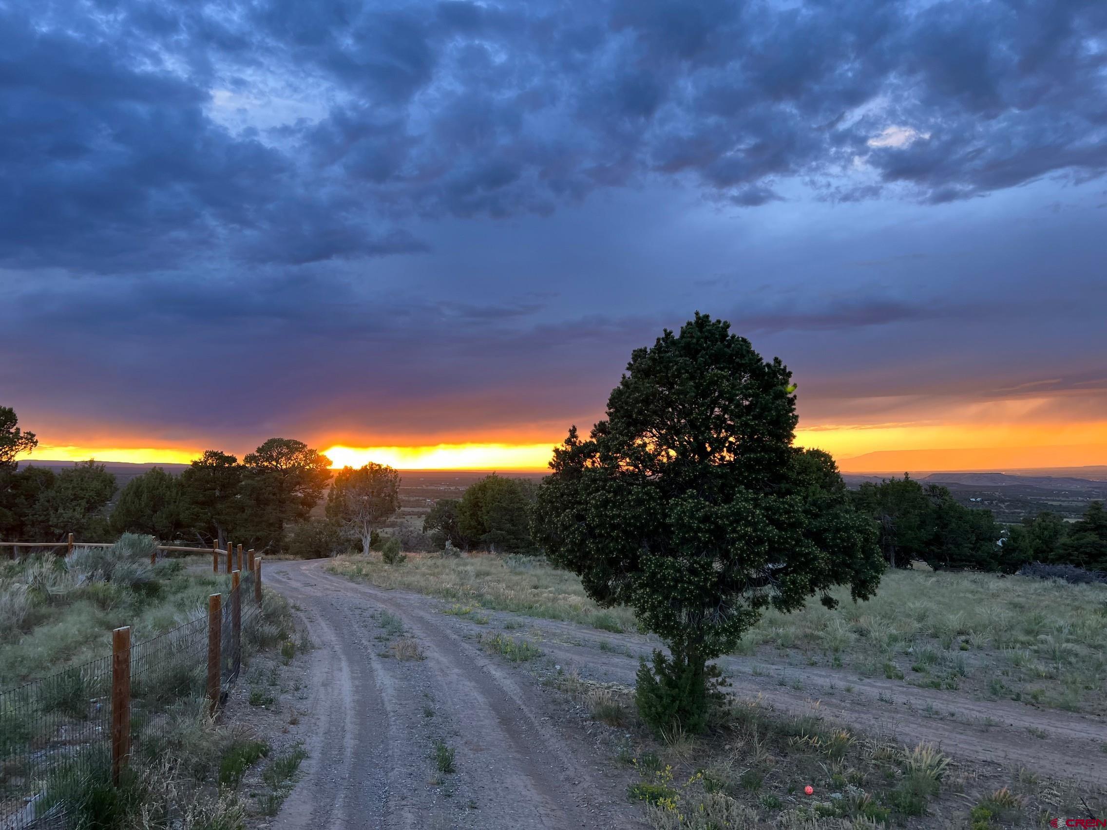 668 Pinyon Ridge Road Montrose, CO 81403 - Photo 26 of 38 Gallery Image 26