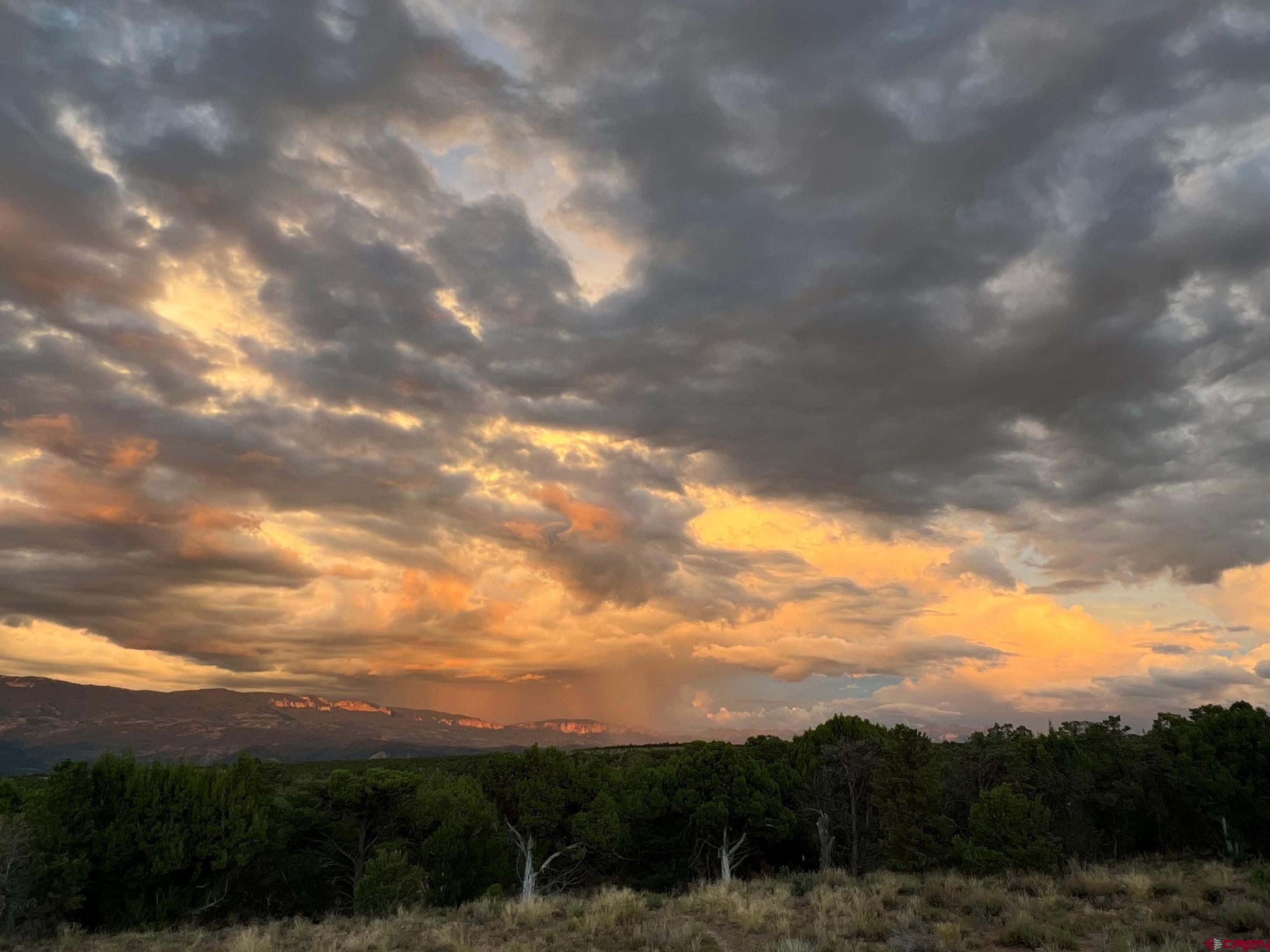 668 Pinyon Ridge Road Montrose, CO 81403 - Photo 27 of 38 Gallery Image 27