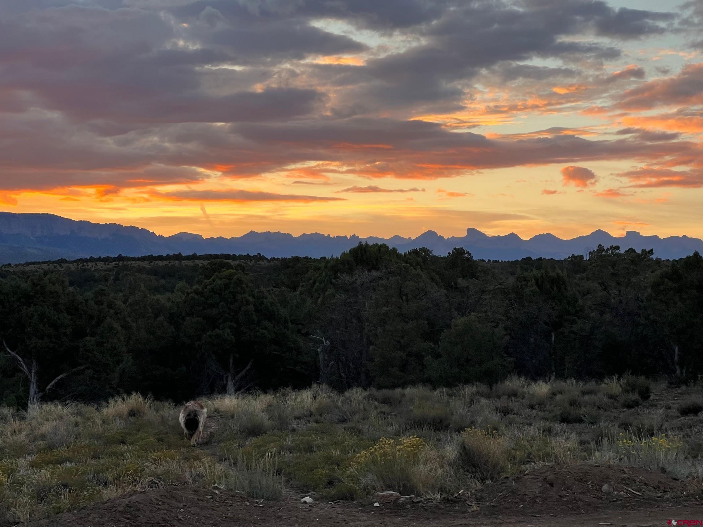 668 Pinyon Ridge Road Montrose, CO 81403 - Photo 29 of 38 Gallery Image 29