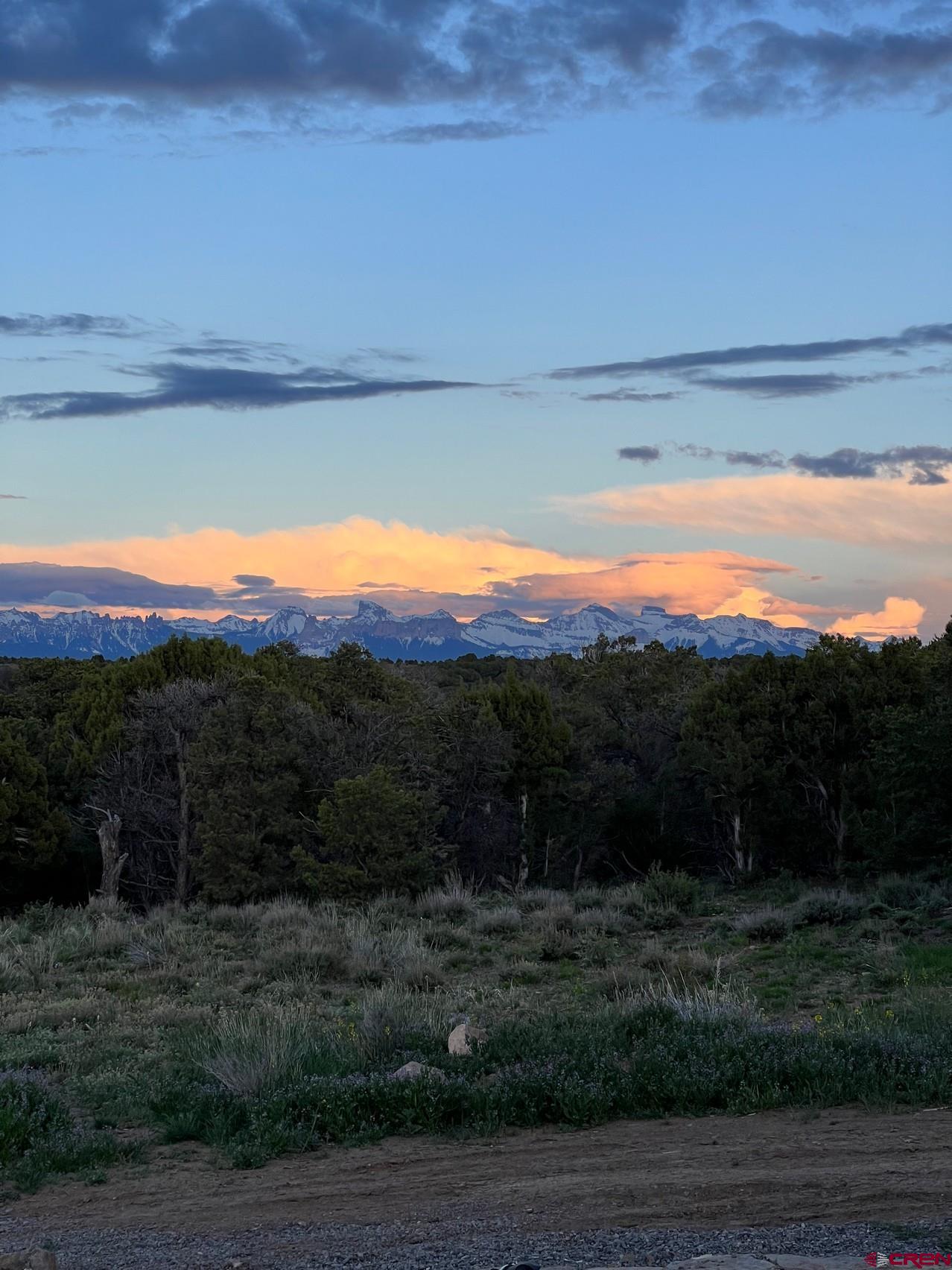 668 Pinyon Ridge Road Montrose, CO 81403 - Photo 31 of 38 Gallery Image 31