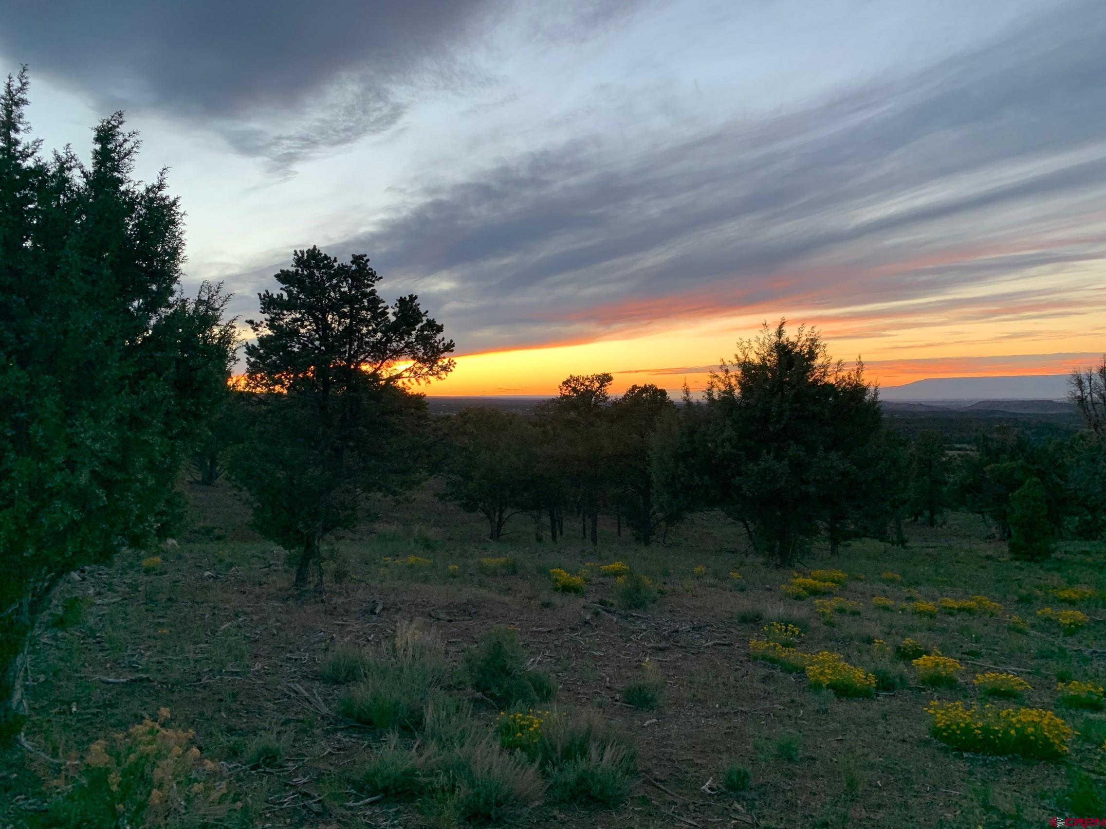 668 Pinyon Ridge Road Montrose, CO 81403 - Photo 35 of 38 Gallery Image 35