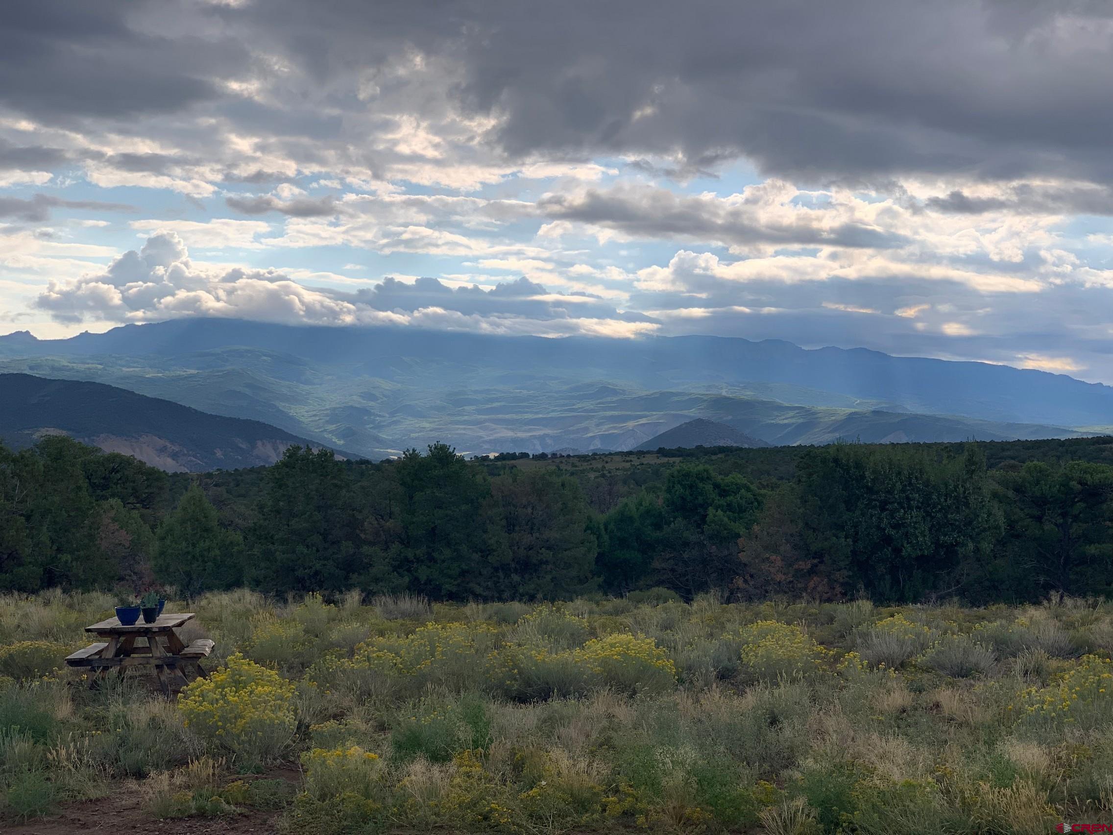 668 Pinyon Ridge Road Montrose, CO 81403 - Photo 6 of 38 Gallery Image 6