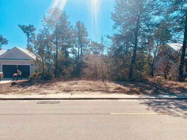 $49,000 | 423 Royal Tern Way, Carrabelle, FL 32322