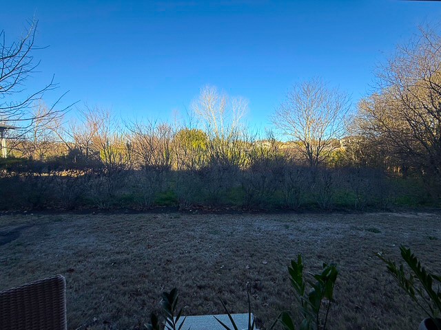 1805 Roseburg Drive, Unit 31 Austin, TX 78754 - Photo 16 of 19 a view of a backyard