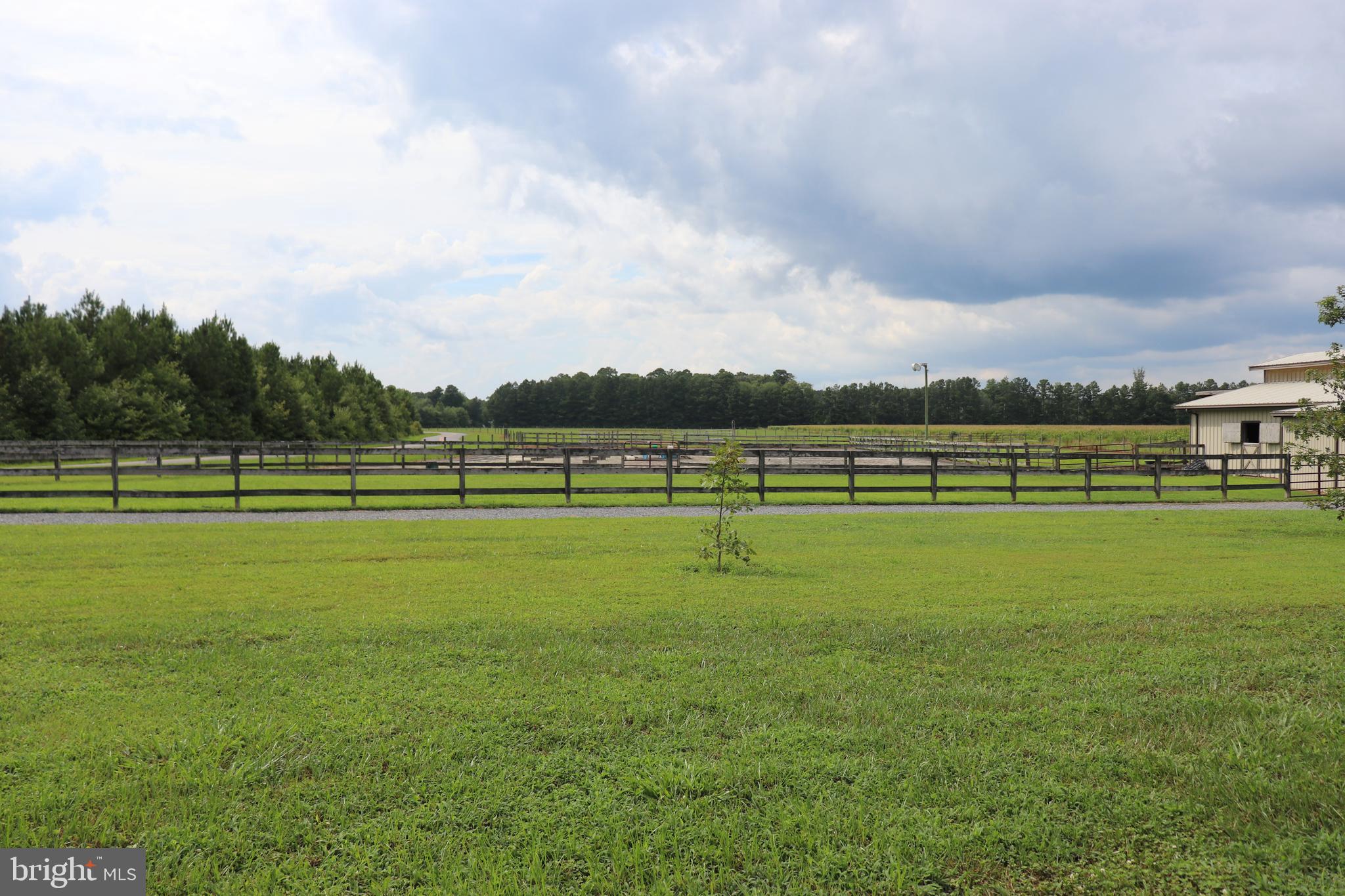6656 Basket Switch Road Newark, MD 21841 - Photo 1 of 23