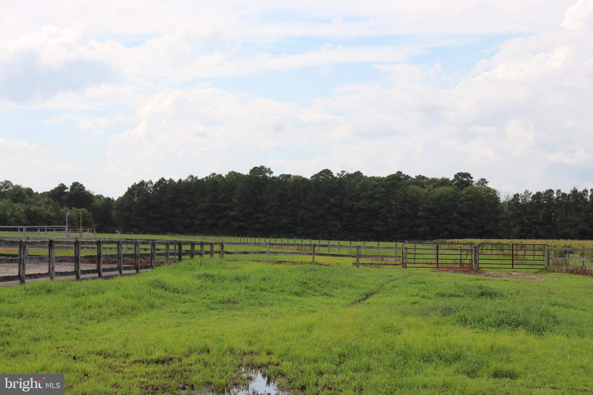 6656 Basket Switch Road Newark, MD 21841 - Photo 11 of 23