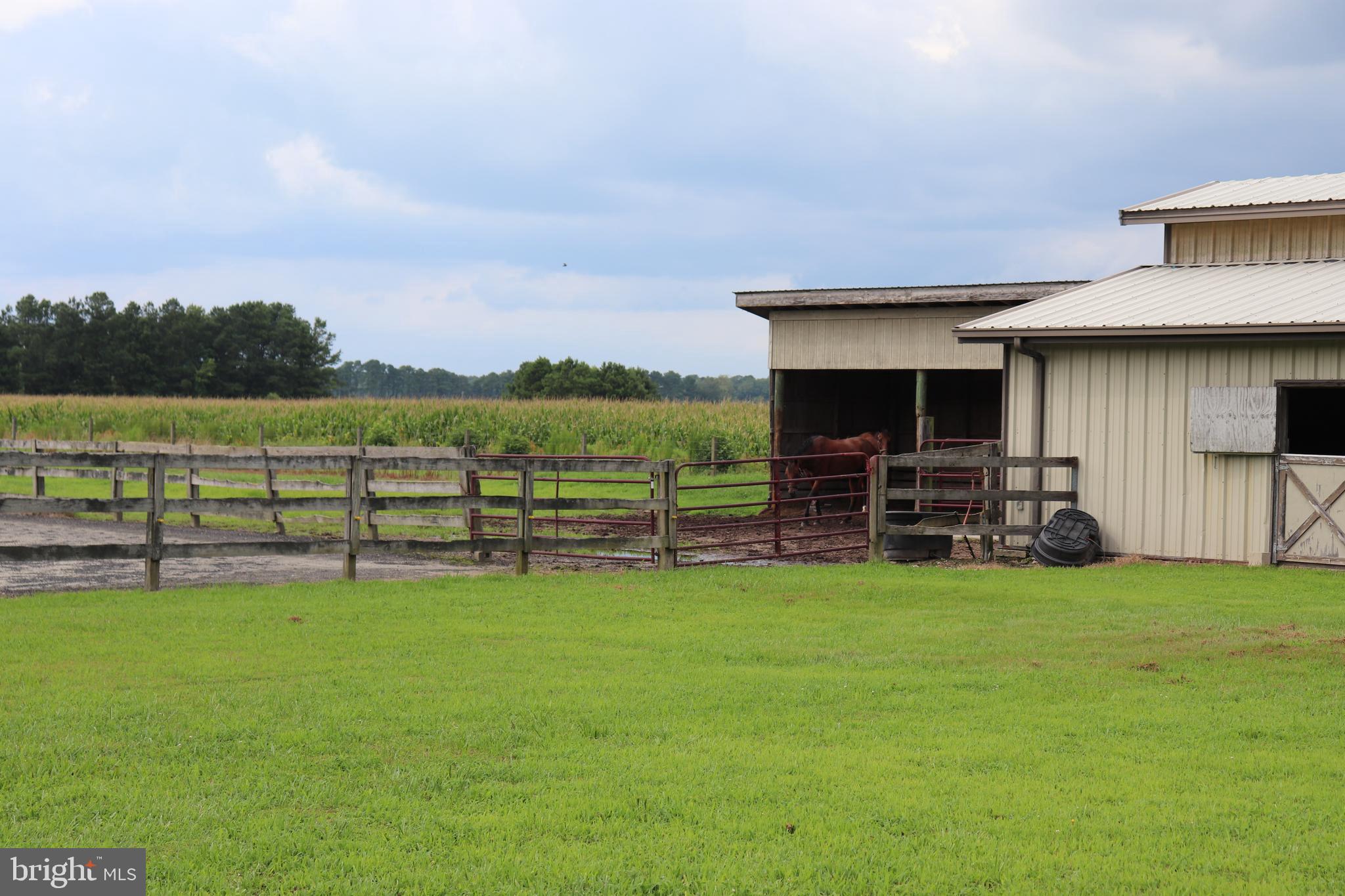 6656 Basket Switch Road Newark, MD 21841 - Photo 14 of 23