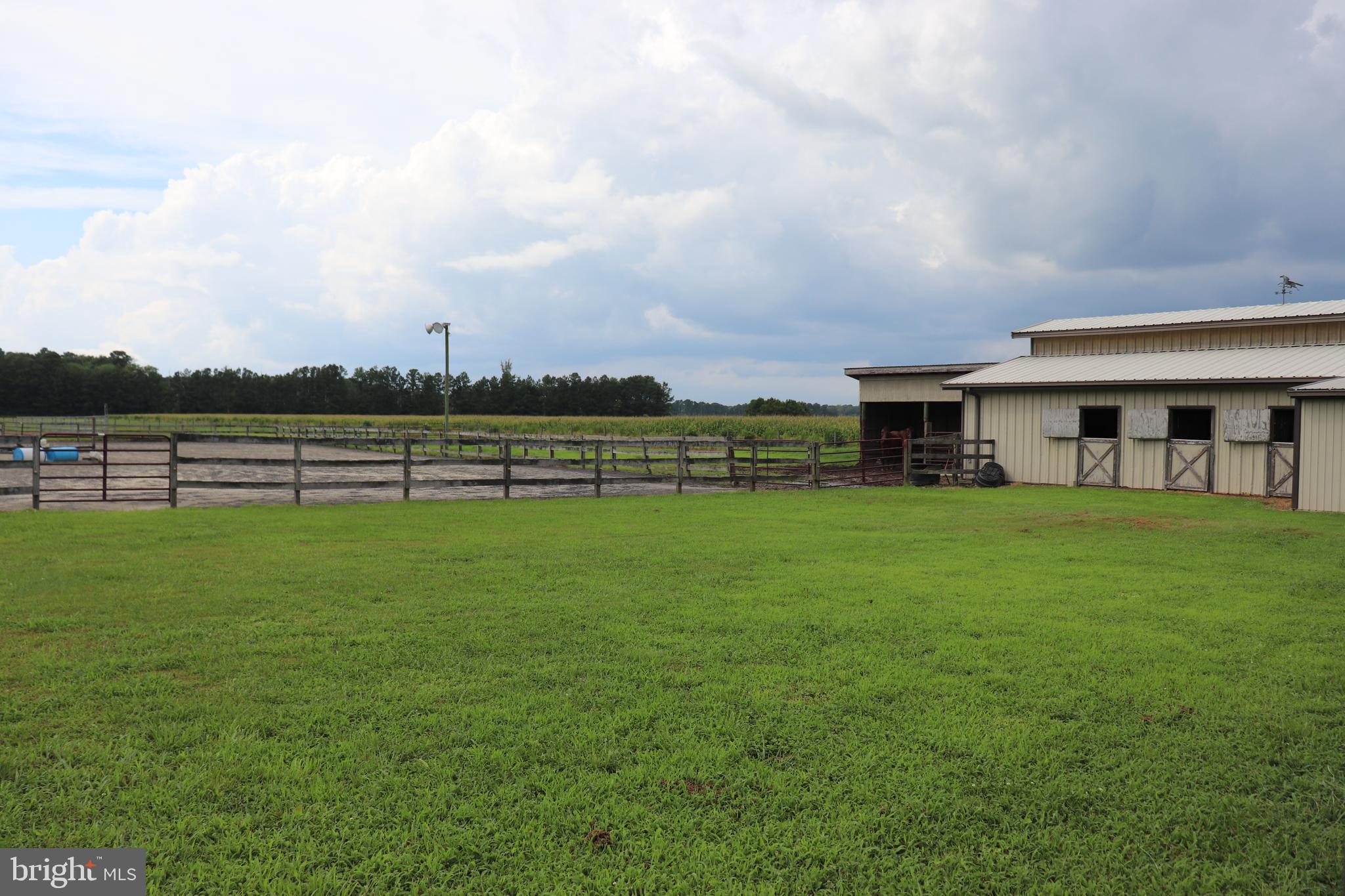 6656 Basket Switch Road Newark, MD 21841 - Photo 15 of 23