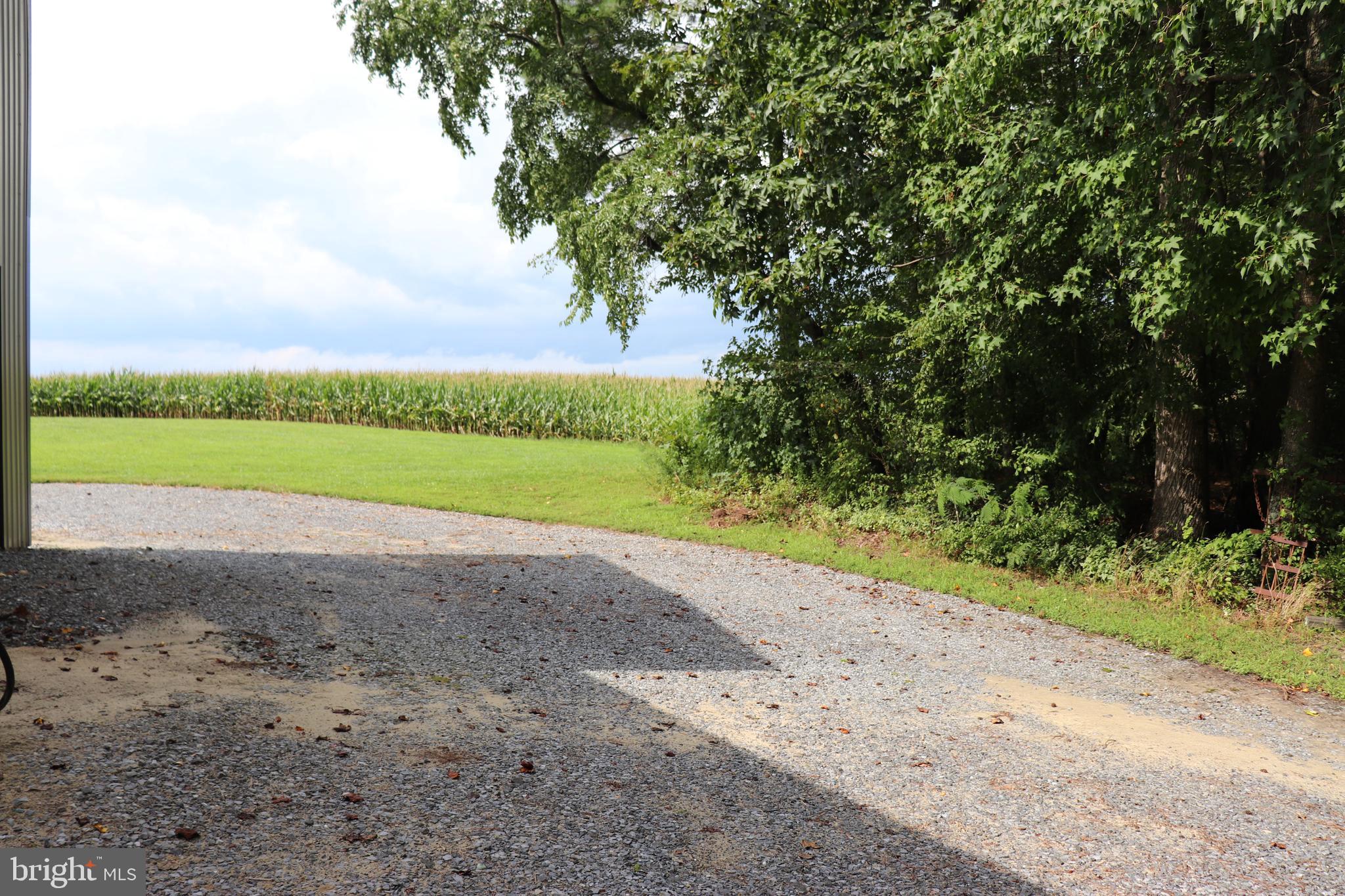 6656 Basket Switch Road Newark, MD 21841 - Photo 20 of 23