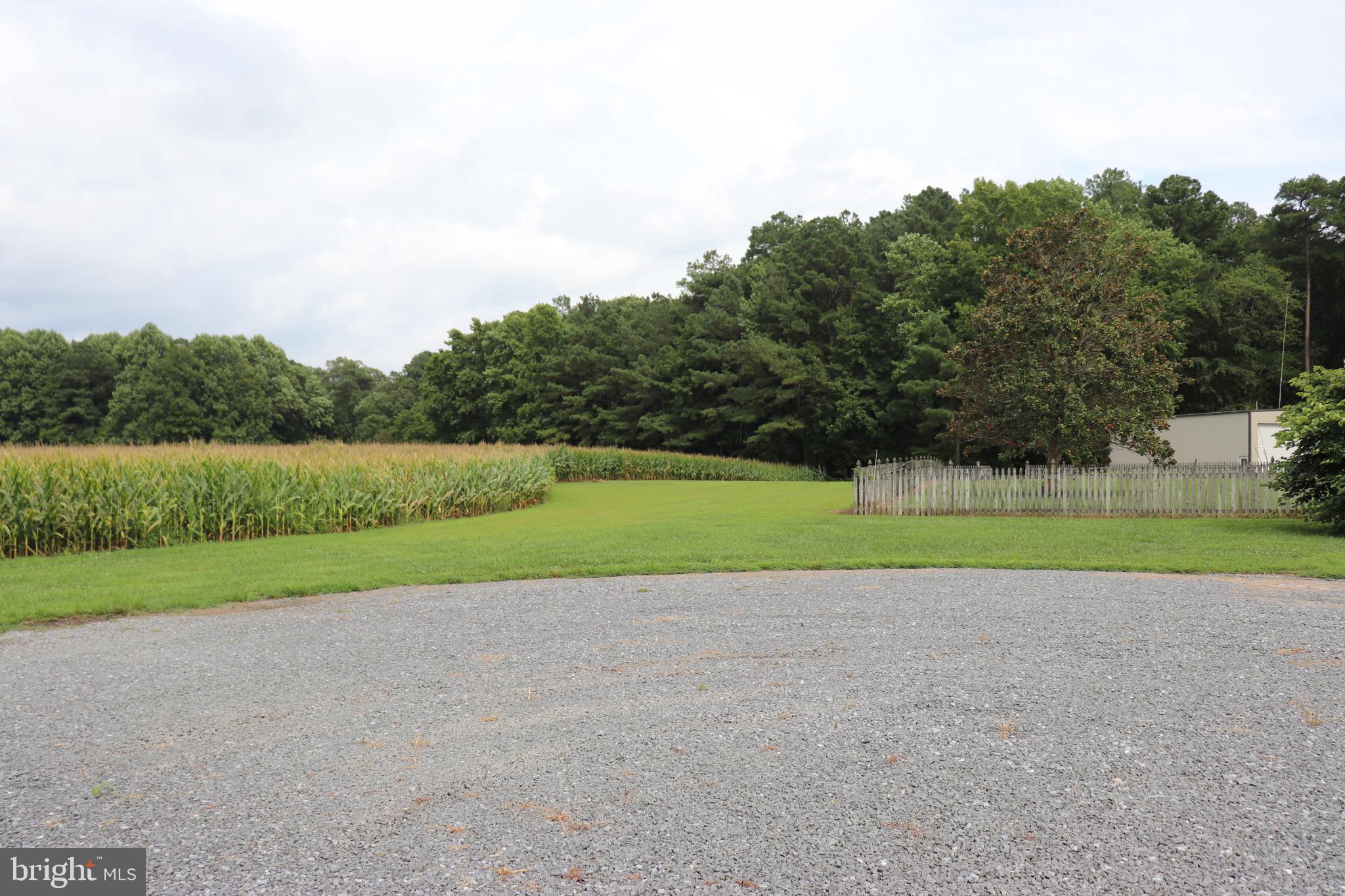 6656 Basket Switch Road Newark, MD 21841 - Photo 9 of 23