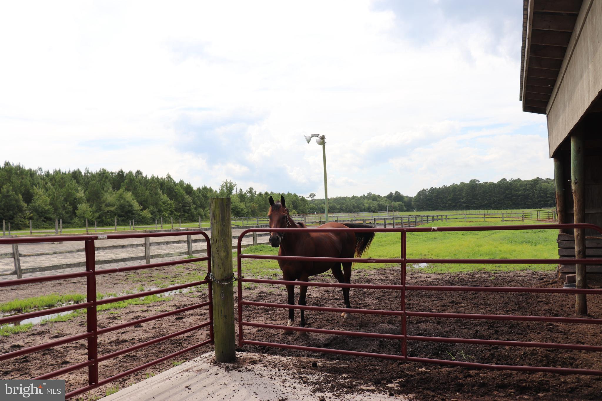 6656 Basket Switch Road Newark, MD 21841 - Photo 10 of 23