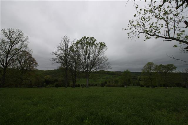 0 Hill Road Ardmore, TN 38449 - Photo 10 of 12