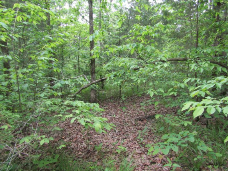 Lot 4 Red Oak Ridge Road Celina, TN 38551 - Photo 13 of 22 05122020 054