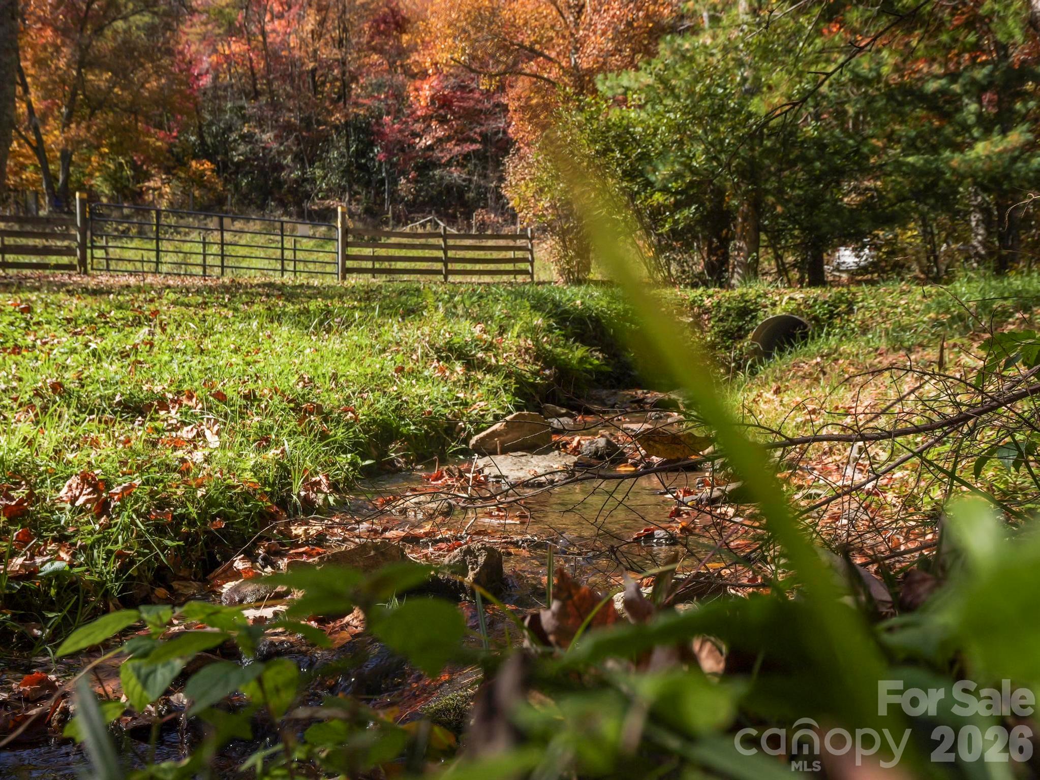 Tbd Long Branch Road Swannanoa, NC 28778 - Photo 14 of 18