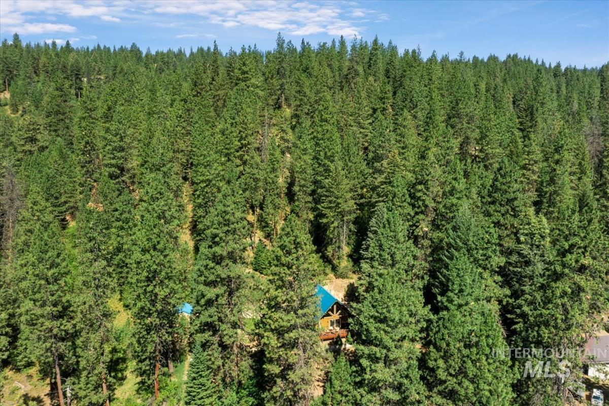 10 Elk Point Road Garden Valley, ID 83622 - Photo 5 of 42 Aerial view of a heavily wooded area
