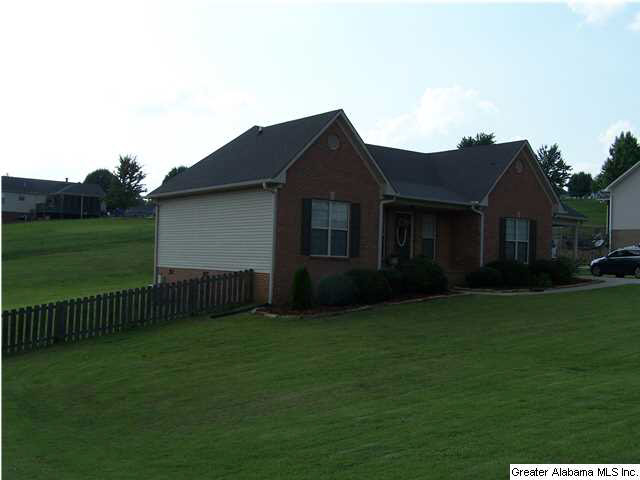 907 Ridgeway Drive Oneonta, AL 35121 - Photo 27 of 28