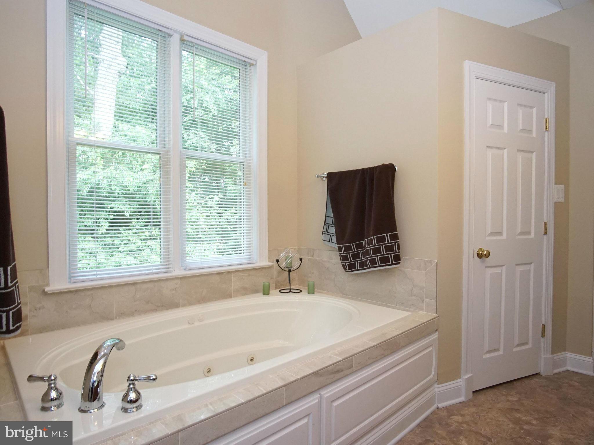 1585 Stone Road Westminster, MD 21158 - Photo 16 of 28 Bath (Master)