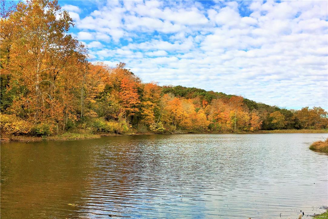 1649 Osage Ridge Road Augusta, MO 63332 - Photo 3 of 99