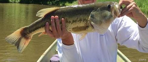 1649 Osage Ridge Road Augusta, MO 63332 - Photo 7 of 99