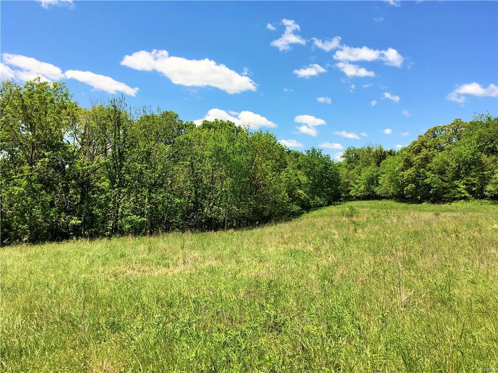 1649 Osage Ridge Road Augusta, MO 63332 - Photo 89 of 99