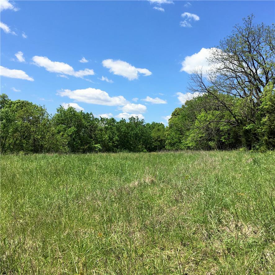 1649 Osage Ridge Road Augusta, MO 63332 - Photo 90 of 99