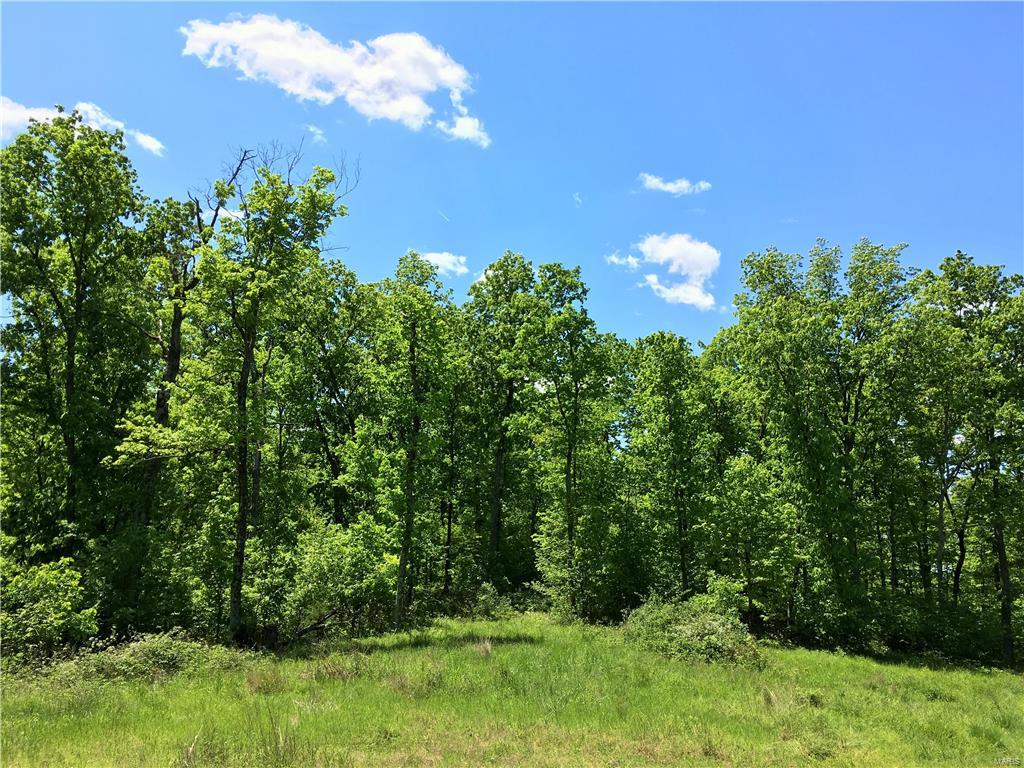 1649 Osage Ridge Road Augusta, MO 63332 - Photo 91 of 99