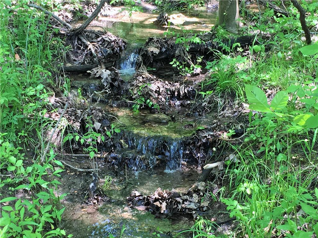 1649 Osage Ridge Road Augusta, MO 63332 - Photo 95 of 99