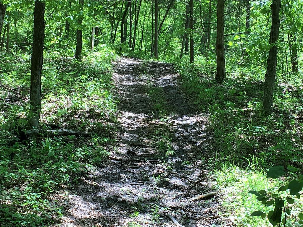 1649 Osage Ridge Road Augusta, MO 63332 - Photo 96 of 99