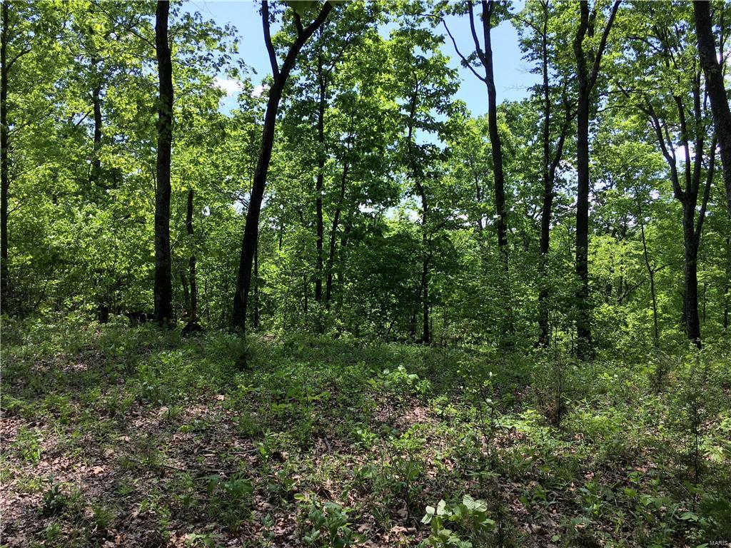 1649 Osage Ridge Road Augusta, MO 63332 - Photo 98 of 99